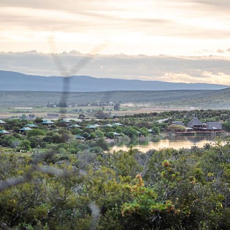 Buffelsdrift Game Lodge เอาท์สโฮร์น ภายนอก รูปภาพ