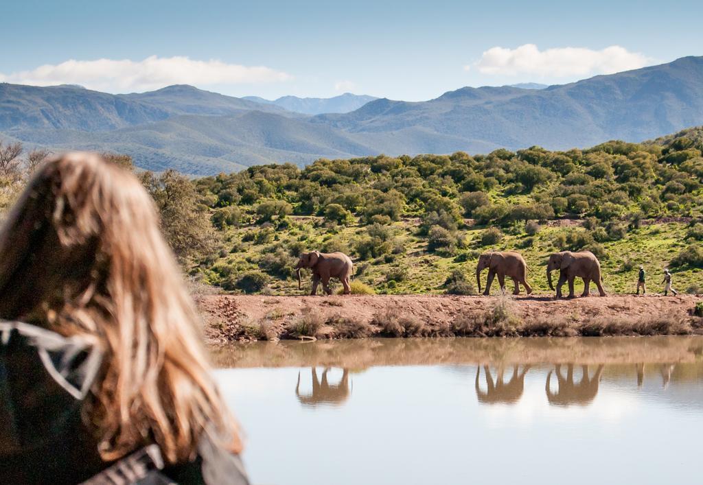 Buffelsdrift Game Lodge เอาท์สโฮร์น ภายนอก รูปภาพ